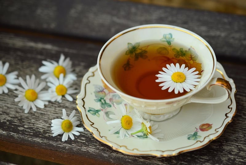 Herbal Medicine